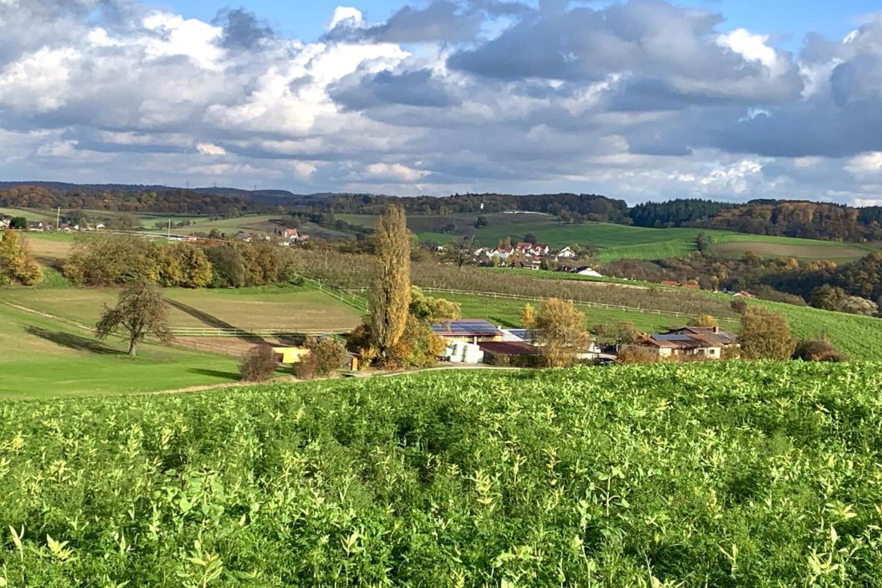 Pension Am Hohberghof Dielheim Exteriér fotografie