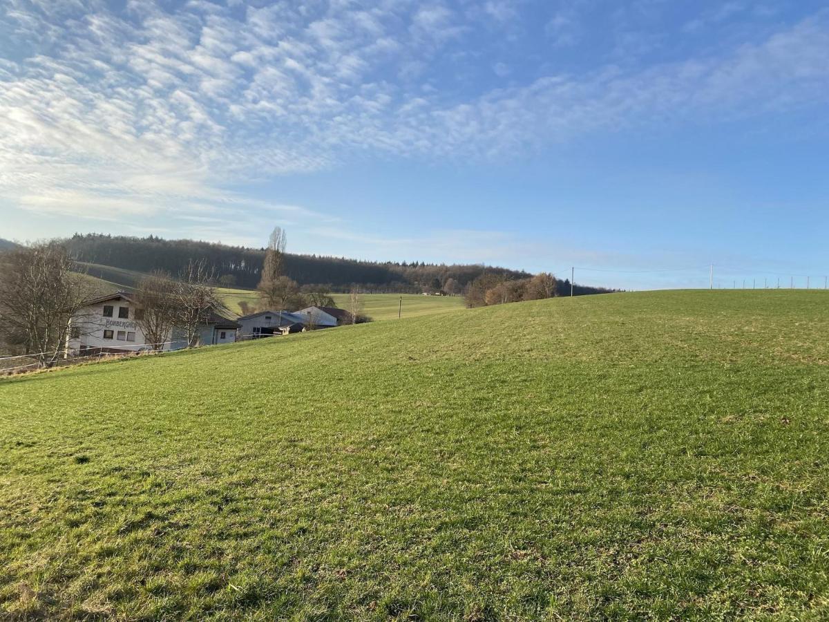 Pension Am Hohberghof Dielheim Exteriér fotografie