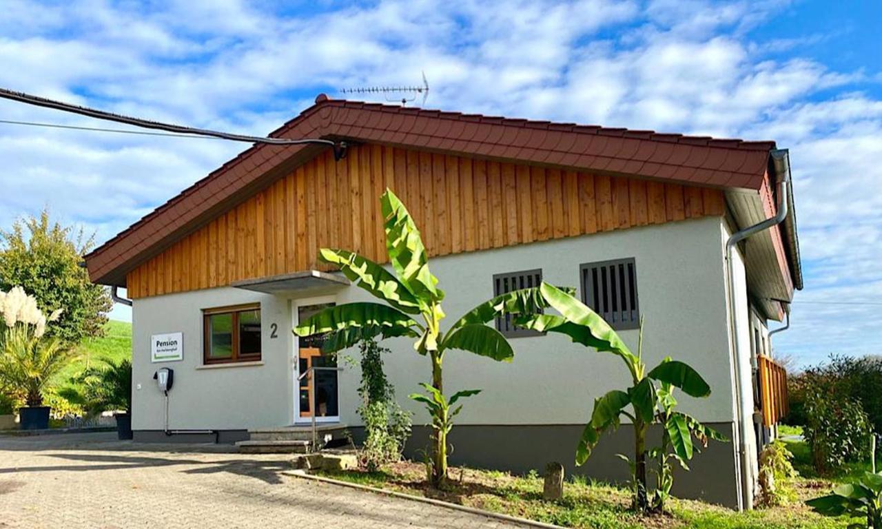 Pension Am Hohberghof Dielheim Exteriér fotografie